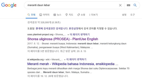 '메란티 다운 르바르'구글 검색결과. 위키피디아와 동남아식물자원 도서(프로시아)가 검색된다.
