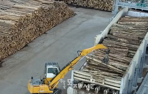 침엽수 제재목 공장.