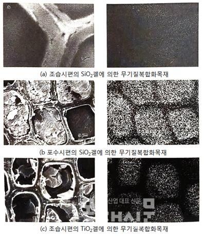 그림 10. 금속알콕사이드에 의한 무기질복합화목재의 SEM 사진(좌)과 Si-KαX선(a,b) 및 Si-KαX선(c)의 맵핑(우)