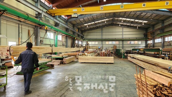 화천목재 구조용 집성재 제조 공장.