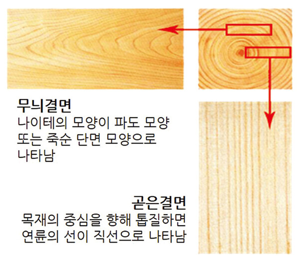 [특집] 건강과 환경을 위한 선택 생활 속 목재이용 4-②