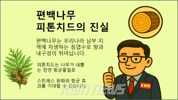 [특별기획] 제1편. 편백나무는 진짜 건강에 좋을까?