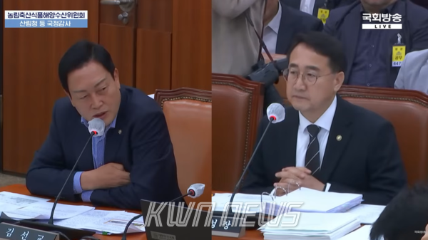 김선교 의원이 국산목재 활성화를 위해 종합계획을 수립했는데 목표 달성이 가능하느냐고 질의하고 있다.