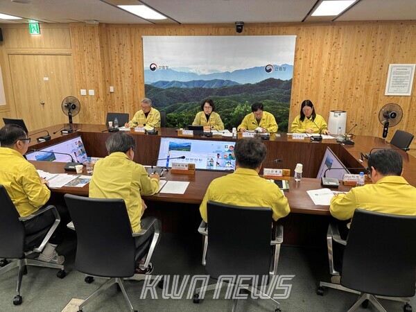 이미라 산림청 차장(가운데)가 12일 산림청에서 ‘광역단위 소나무재선충병 방제 대책회의’에 참석해 회의하고 있다.