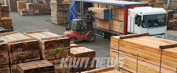 미국 항구에 적재된 침엽수 제재목. 2025년 10월부터 새 관세가 적용되면서 수입 물량 조정이 진행 중이다.