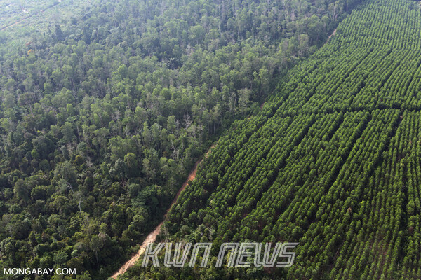 출처 : mongabay.com